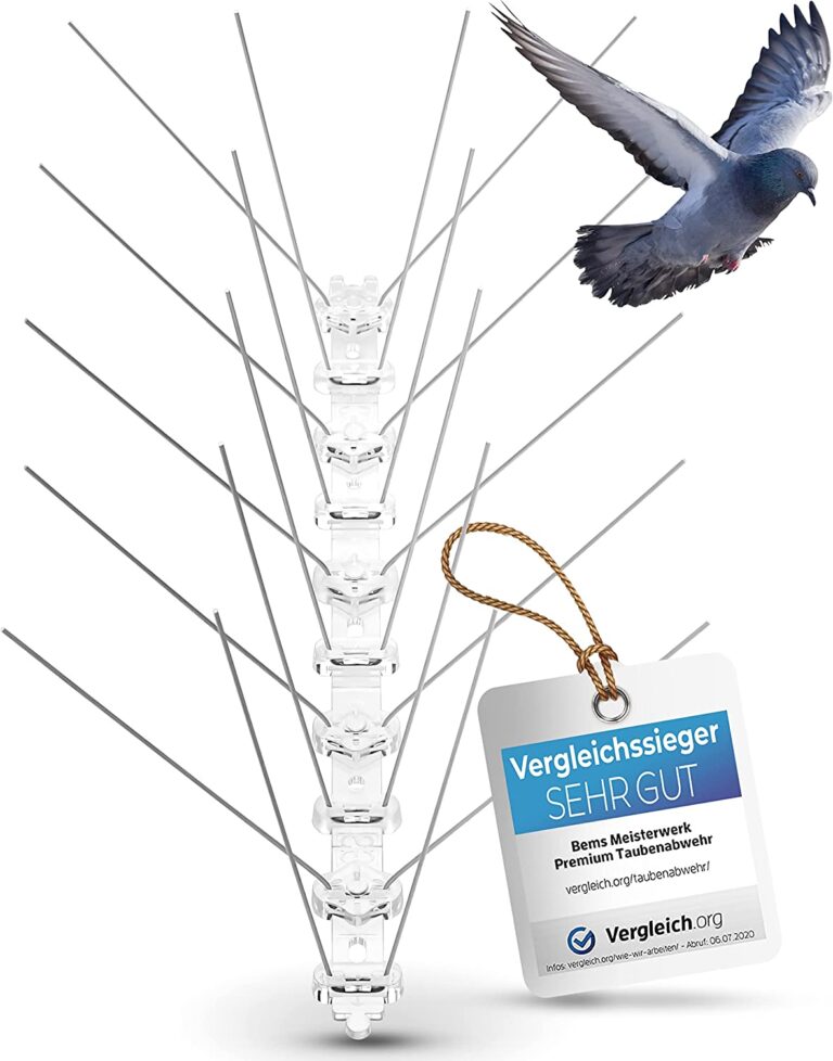 Specht Vertreiben Geruch